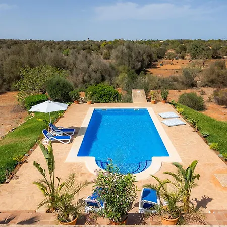 Oasis Del Sol Llombarts